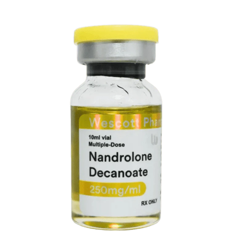 WESTCOTT - Nandrolone Decanoate 250mg/ml x 10ml