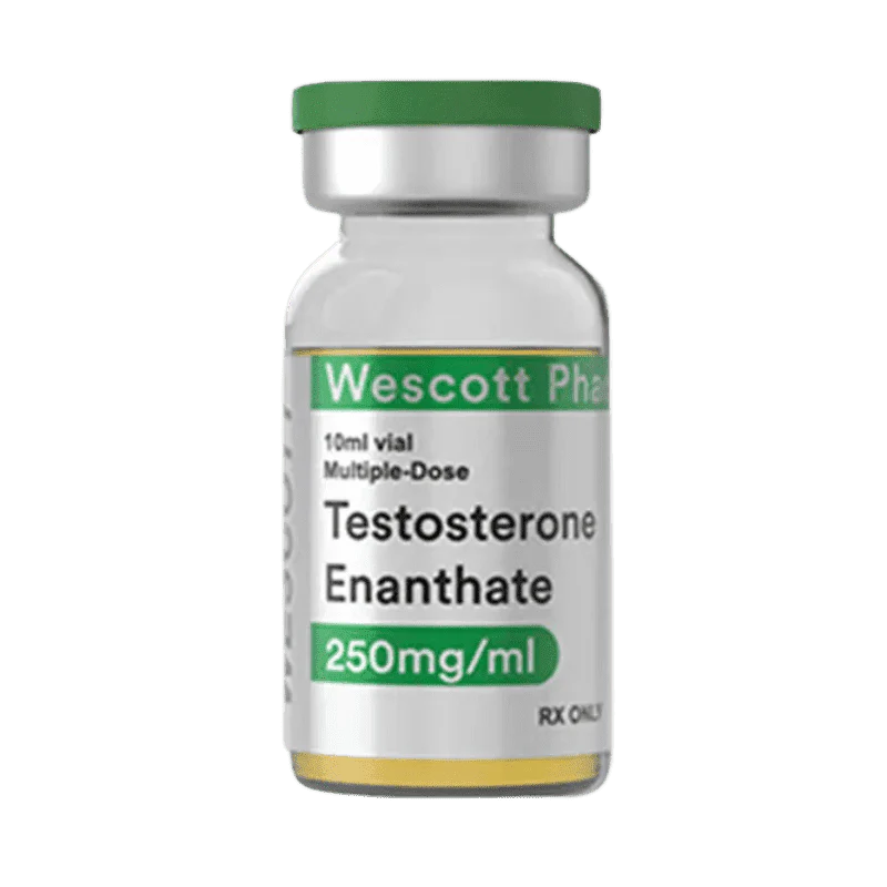 WESCOTT PHARMA - Testosterone Enanthate 250mg/ml x 10ml